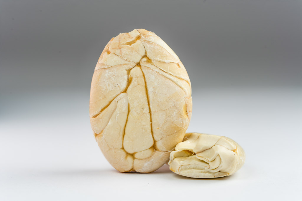 Boby Pataste loupane detail